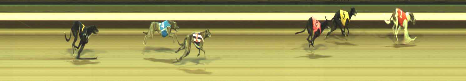 Photo finish for Warragul Race 4