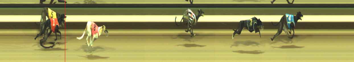 Photo finish for Warragul Race 5