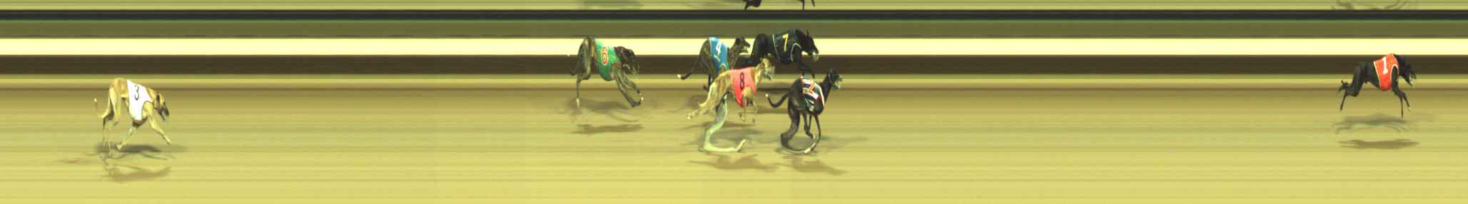 Photo finish for Warragul Race 6