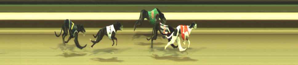 Photo finish for Warragul Race 9