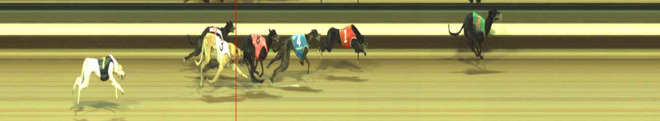 Photo finish for Warragul Race 10
