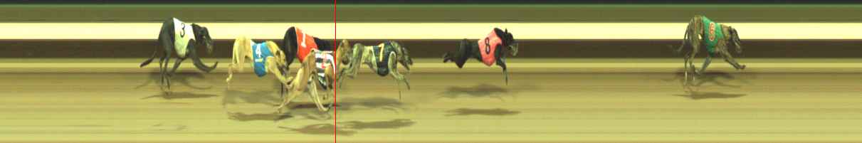 Photo finish for Warragul Race 11