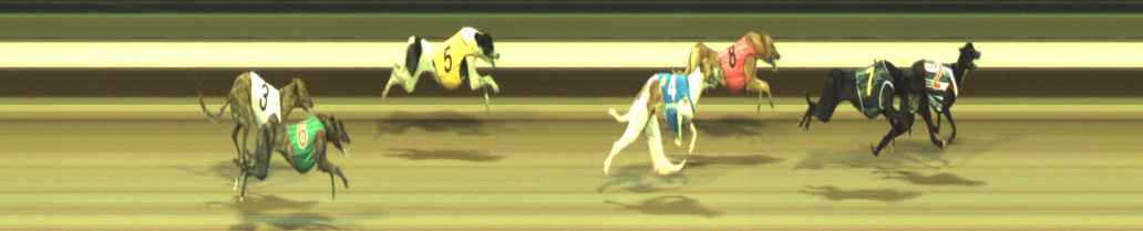 Photo finish for Warragul Race 12