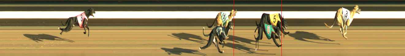 Photo finish for Warragul Race 2