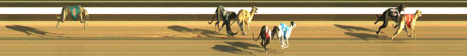 Photo finish for Warragul Race 3
