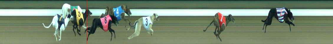 Photo finish for Warragul Race 6