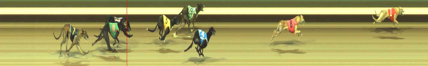 Photo finish for Warragul Race 11