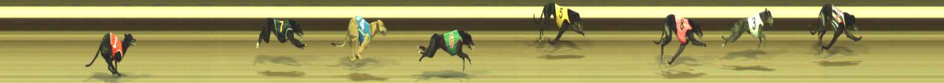 Photo finish for Warragul Race 12