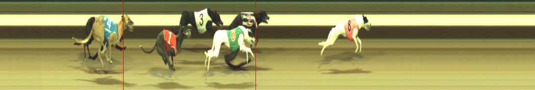 Photo finish for Warragul Race 3
