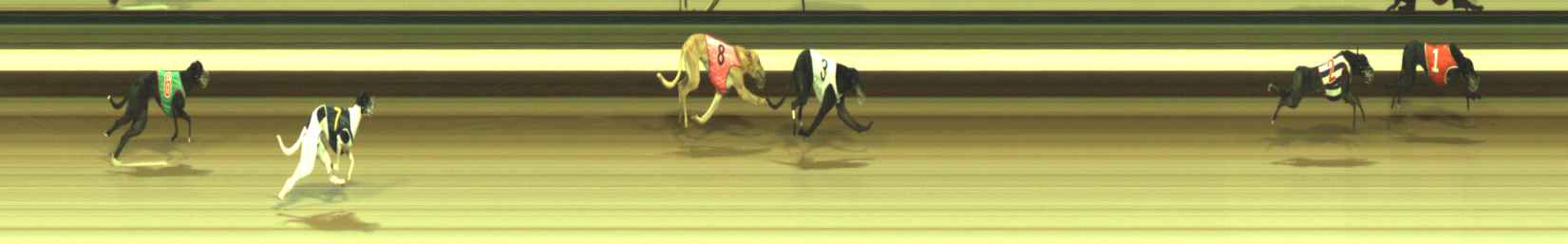 Photo finish for Warragul Race 4