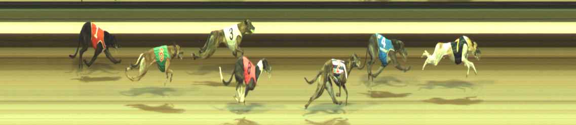 Photo finish for Warragul Race 5