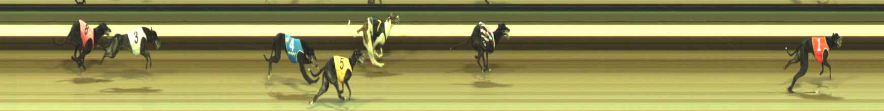 Photo finish for Warragul Race 6