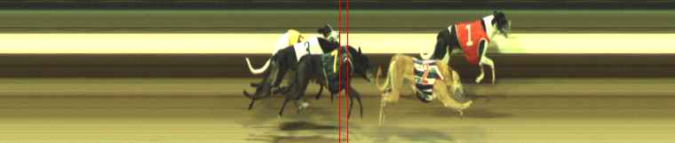 Photo finish for Warragul Race 7