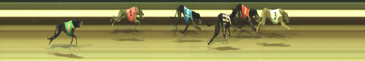 Photo finish for Warragul Race 8
