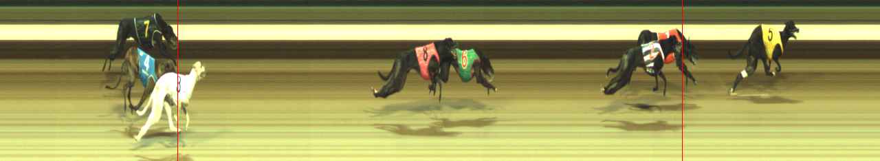 Photo finish for Warragul Race 10