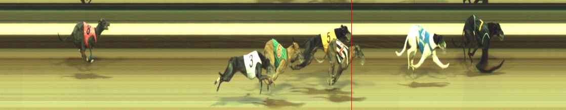 Photo finish for Warragul Race 11