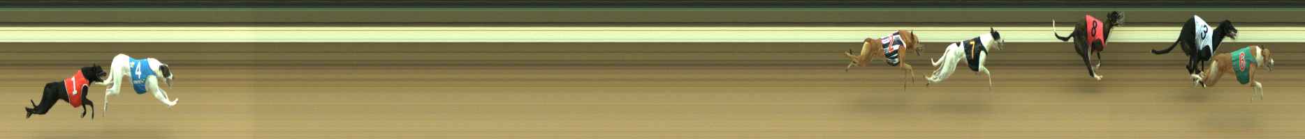 Photo finish for Warragul Race 1
