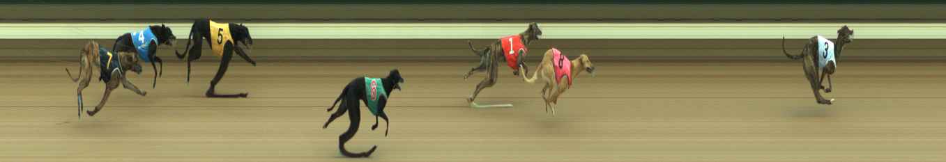 Photo finish for Warragul Race 2
