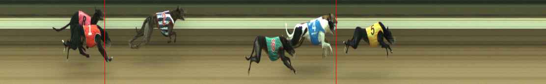 Photo finish for Warragul Race 3