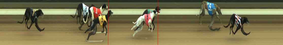 Photo finish for Warragul Race 4