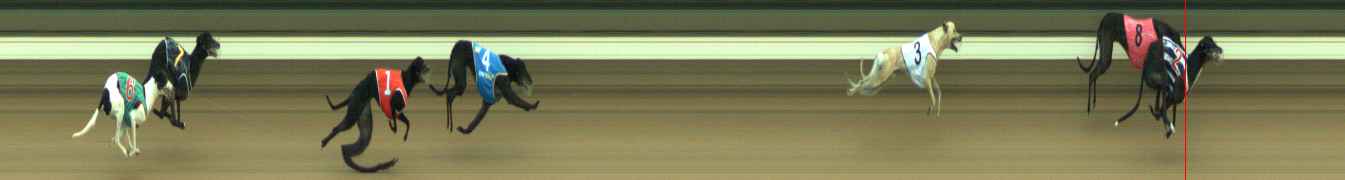Photo finish for Warragul Race 6