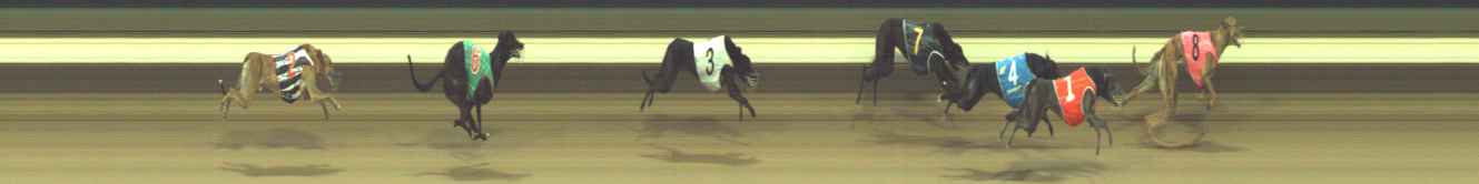 Photo finish for Warragul Race 7