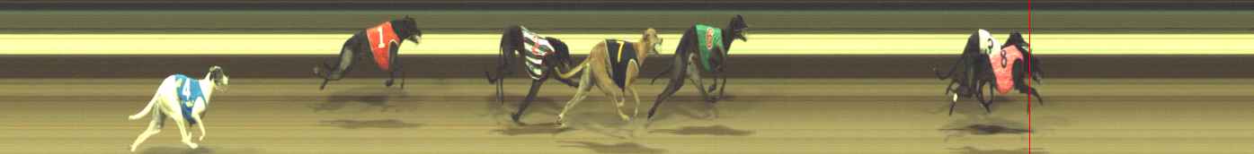 Photo finish for Warragul Race 8