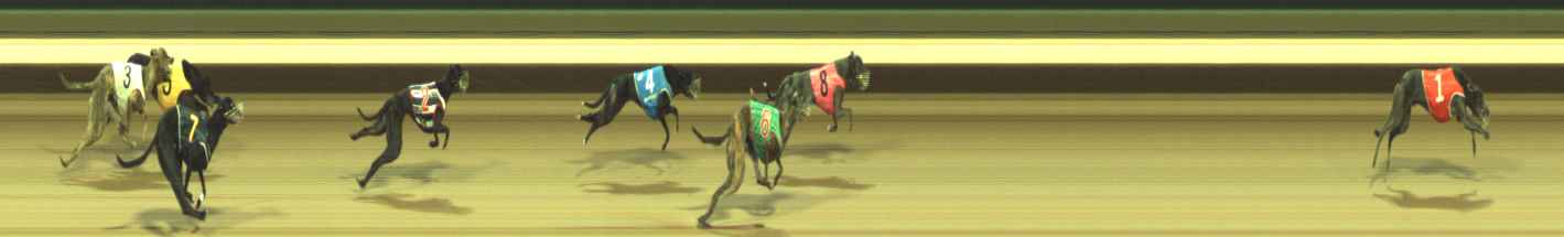 Photo finish for Warragul Race 9