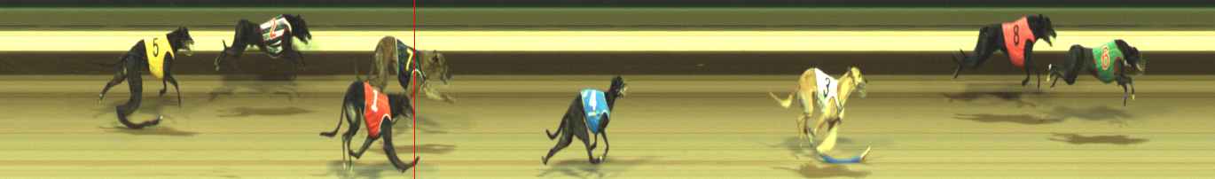 Photo finish for Warragul Race 11