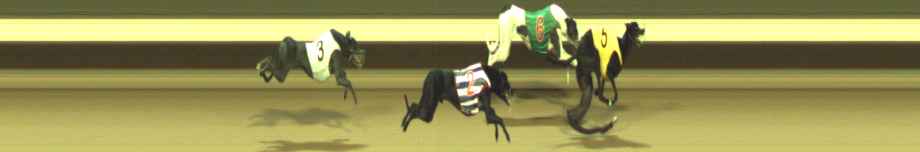 Photo finish for Warragul Race 1
