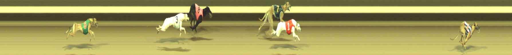 Photo finish for Warragul Race 2
