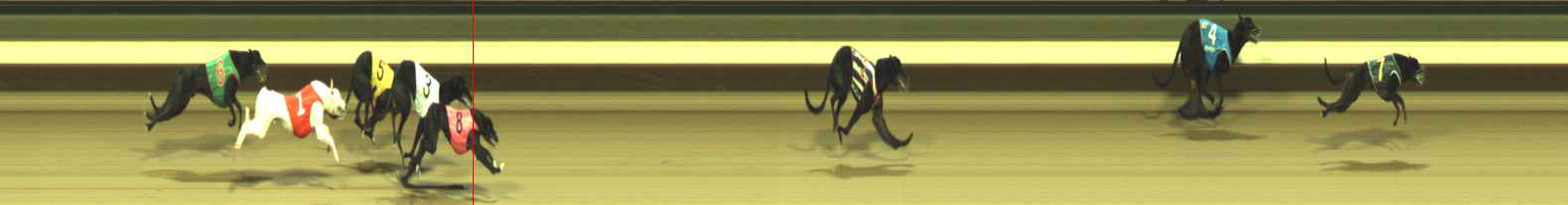 Photo finish for Warragul Race 3