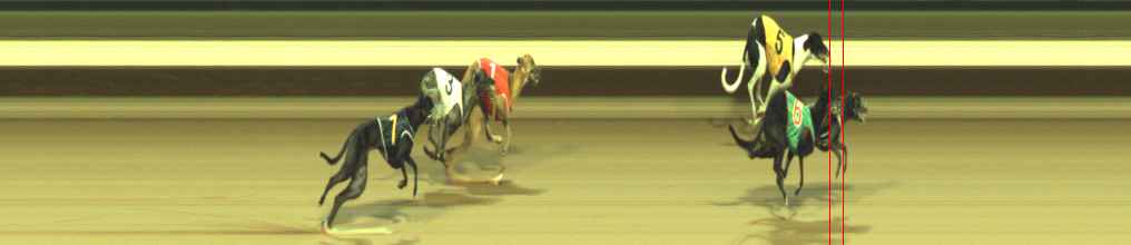 Photo finish for Warragul Race 5