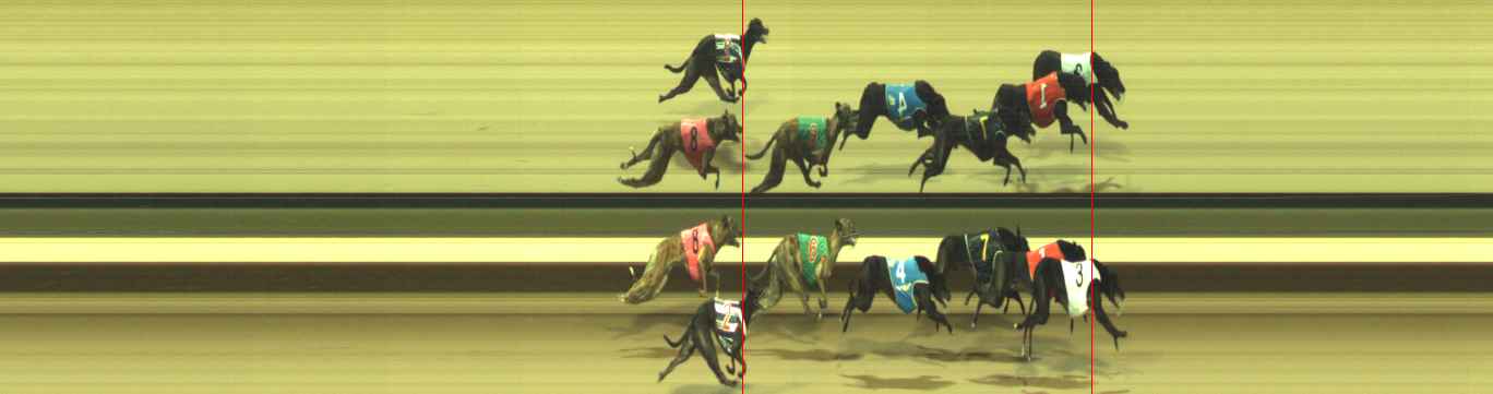 Photo finish for Warragul Race 6