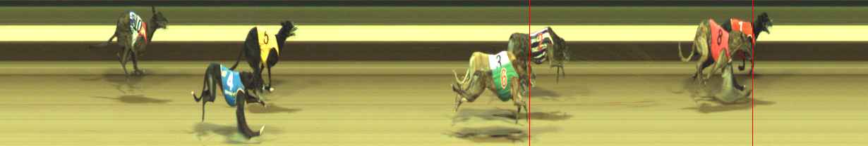 Photo finish for Warragul Race 8