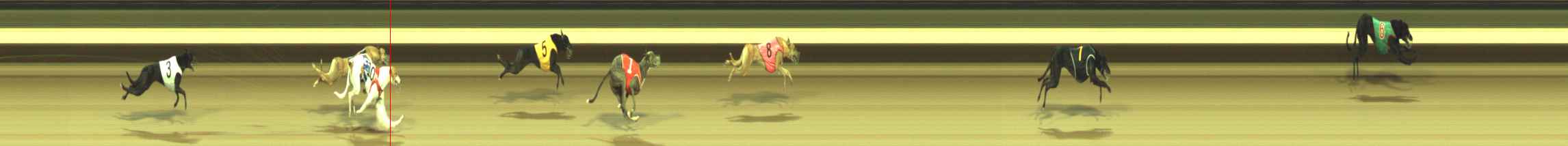 Photo finish for Warragul Race 9