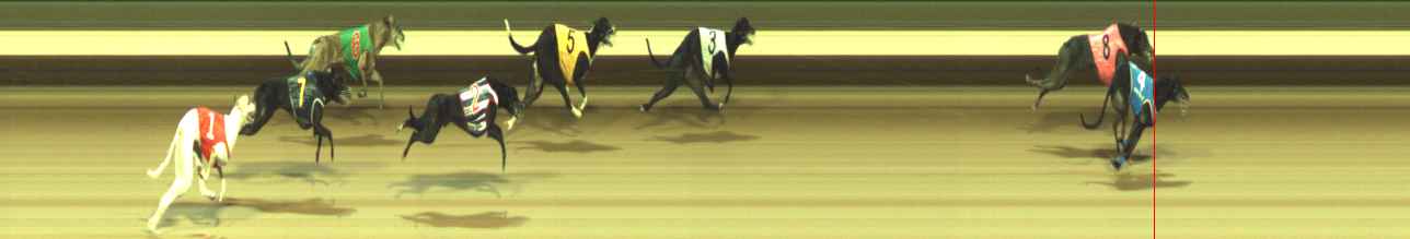 Photo finish for Warragul Race 11