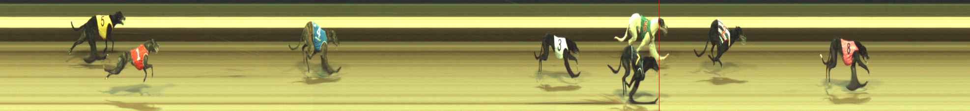 Photo finish for Warragul Race 12