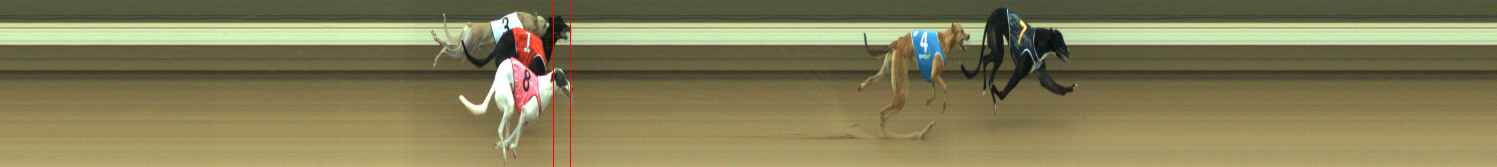Photo finish for Warragul Race 1