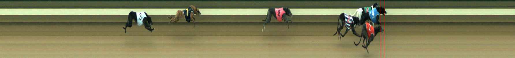 Photo finish for Warragul Race 4
