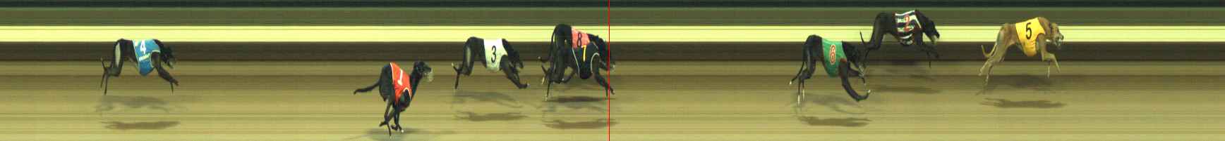 Photo finish for Warragul Race 6