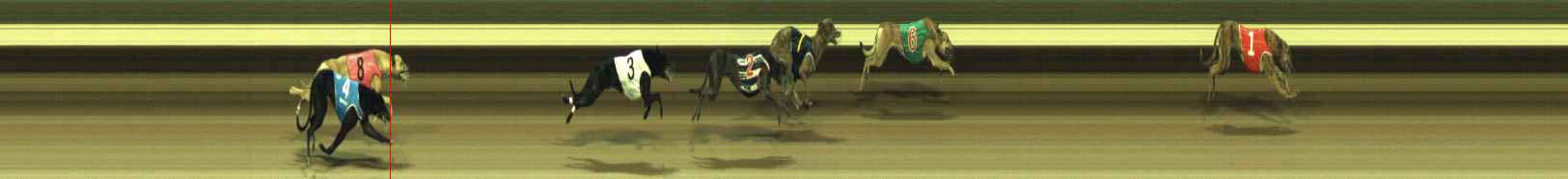 Photo finish for Warragul Race 7