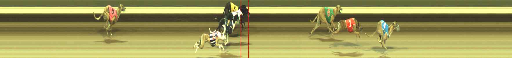 Photo finish for Warragul Race 8