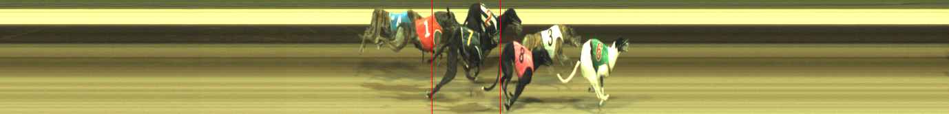 Photo finish for Warragul Race 10