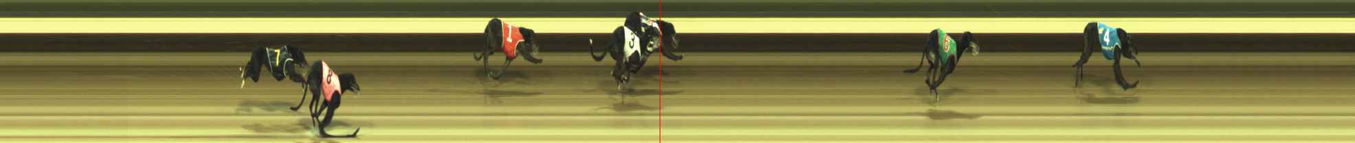 Photo finish for Warragul Race 11