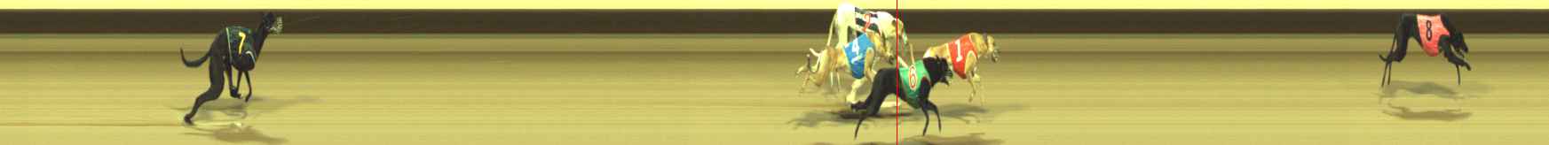 Photo finish for Warragul Race 1