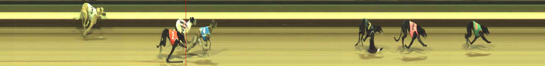 Photo finish for Warragul Race 2