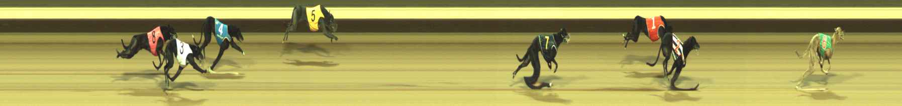 Photo finish for Warragul Race 3