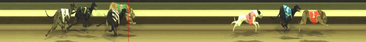 Photo finish for Warragul Race 5