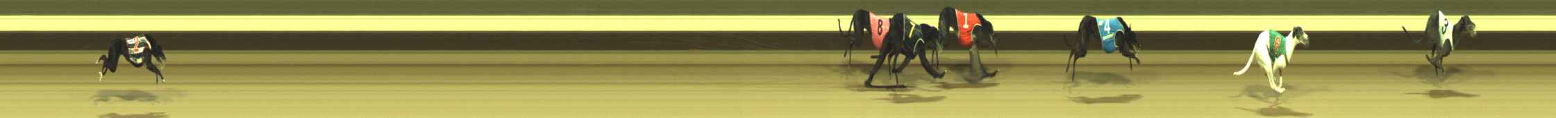 Photo finish for Warragul Race 6